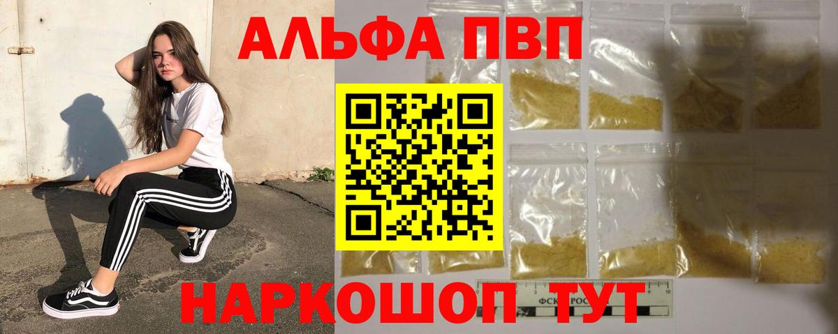 A PVP СК Гусев