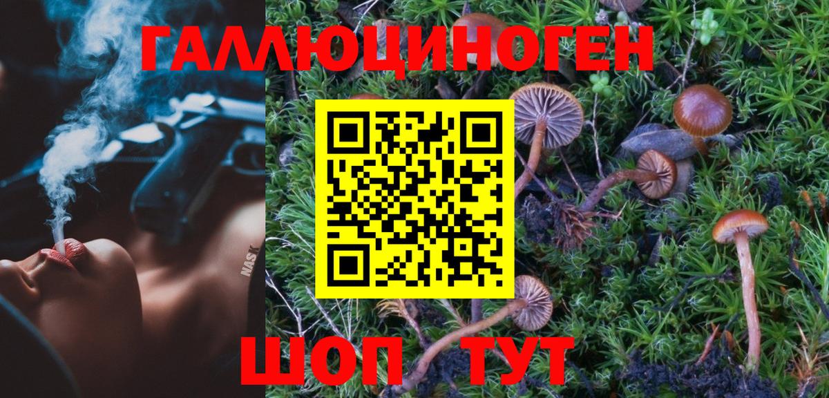 Псилоцибиновые грибы мухоморы  Вход с VPN  Псилоцибиновые грибы GOLDEN TEACHER  наркота  Гусев 